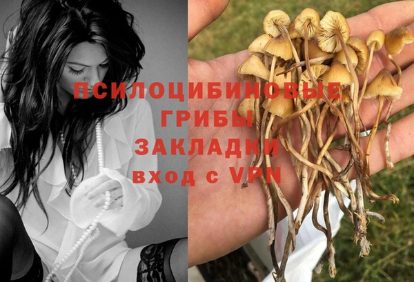 скорость Алексеевка