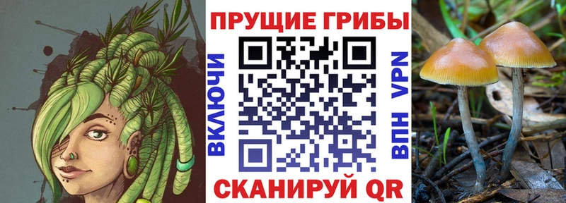 Псилоцибиновые грибы мухоморы  даркнет сайт  Чаплыгин 